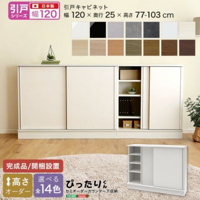 引戸シリーズ キャビネット 幅120cm×奥行25cm [SH-19PS12025]