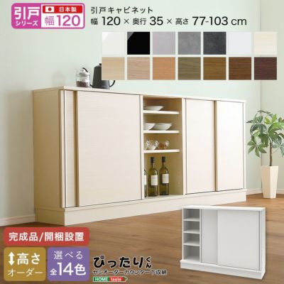 【引戸シリーズ】セミオーダーカウンター下収納ぴったりくん キャビネット 幅120cm×奥行35cm  [SH-19PS12035]