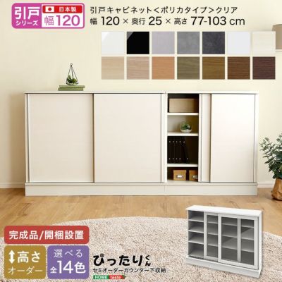 【引戸シリーズ】セミオーダーカウンター下収納ぴったりくん キャビネット(ポリカタイプ クリア) 幅120cm×奥行25cm  [SH-19PSG120C25]