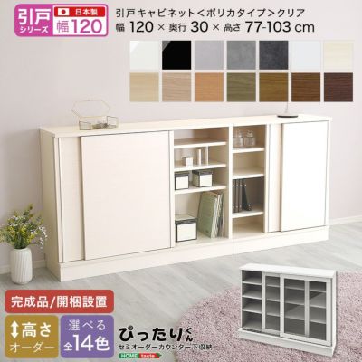 【引戸シリーズ】セミオーダーカウンター下収納ぴったりくん キャビネット(ポリカタイプ クリア) 幅120cm×奥行30cm  [SH-19PSG120C30]