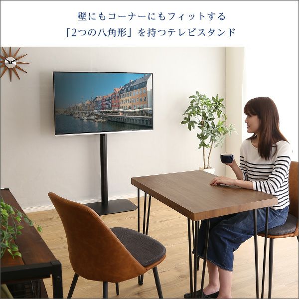 八角テレビスタンドハイタイプ専用 ハードディスクホルダーセット[OTG