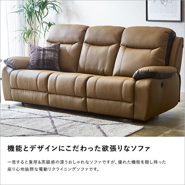 3P電動ﾘｸﾗｲﾆﾝｸﾞｿﾌｧ(No:1246829)