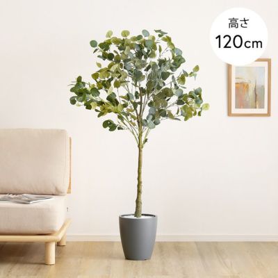 お手入れ簡単フェイクグリーン エバーフレッシュ Lサイズ(180cm