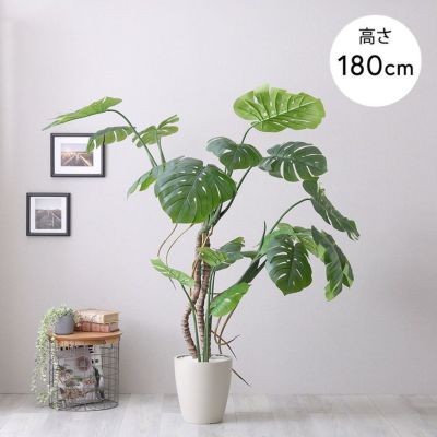 お手入れ簡単フェイクグリーン モンステラ Lサイズ(180cm) [SH